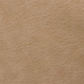 Beige Legacy Faux Leather - 1/2 Yard Cut