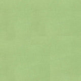 Bella Solids - Betty Green Yardage