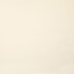 Bella Solids - Eggshell Yardage Primary Image