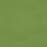 Bella Solids - Fresh Grass Yardage Primary Image