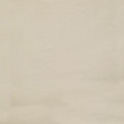 Bella Solids - Linen Yardage Primary Image
