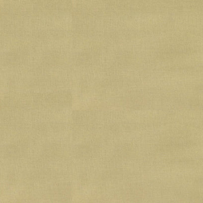 Bella Solids - Sage Yardage