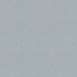 Bella Solids - Silver Yardage
