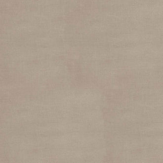 Bella Solids - Stone Yardage