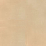 Bella Solids - Tan Yardage