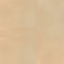 Bella Solids - Tan Yardage