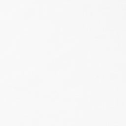 Bella Solids - White 108" Wide Backing Primary Image