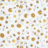 Hand Picked - Forget Me Not - Daisy Delight White Yellow108" Wide Backing Yardage Primary Image