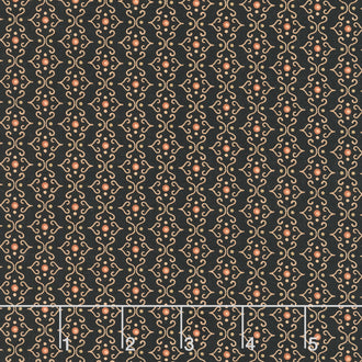 Cheddar and Coal II - Haunted Gate Black Yardage