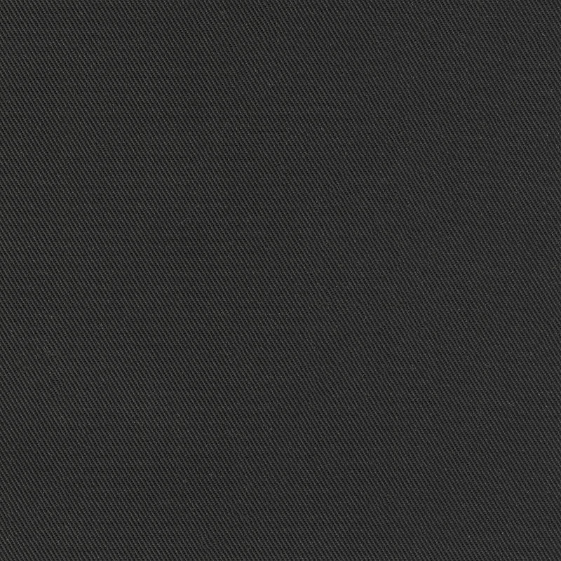 Big Sur Canvas - Solid Black Yardage Primary Image