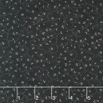 Blessed Beyond Measure - Vines Black 108" Wide Backing