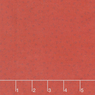 Blessed Beyond Measure - Vines Red 108" Wide Backing