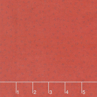 Blessed Beyond Measure - Vines Red 108" Wide Backing