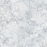 Bliss - Bold & Bright Morning Mist Digitally Printed Yardage