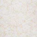 Bliss - Vanilla Cream Digitally Printed 108" Wide Backing