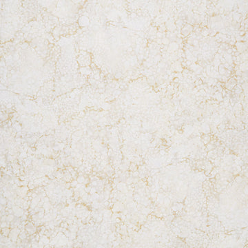 Bliss - Vanilla Cream Digitally Printed 108" Wide Backing