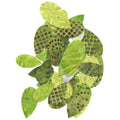 Bohemian Chic Batik Leaves Fusible Appliqué Shapes Alternative View #1