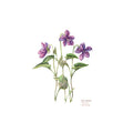 Botanicals Floral Panel Alternative View #2