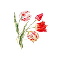 Botanicals Floral Panel Alternative View #3