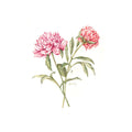 Botanicals Floral Panel Alternative View #4
