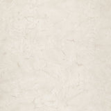 Breathtaking Brown Batik Solids - Latte Yardage