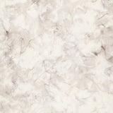 Breathtaking Brown Batik Solids - Sand Yardage Primary Image