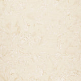 Breathtaking Brown Batik Solids - Wicker Yardage Primary Image