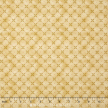 Butter Churn Basics - Pinwheel Tan Yardage