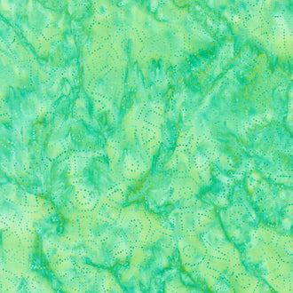 Expressions Batiks - Elementals Zoysia Yardage