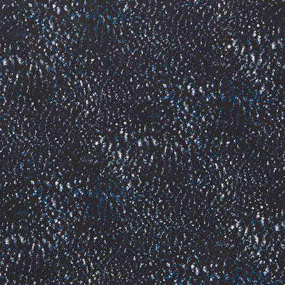 Earth Views - Dots Midnight Yardage