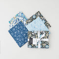 Artist's House Option B - Favorites 5 Piece Fat Quarter Bundle Primary Image