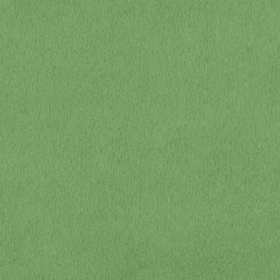 Luxe Cuddle® - Seal Basil Minky Yardage