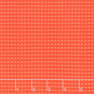 Live Boldly - Block Blender Scarlet Yardage Primary Image