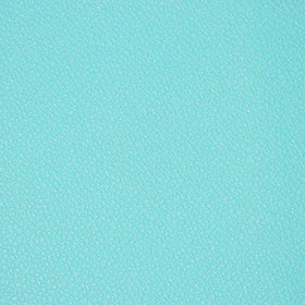 Robin Egg Pebble Faux Leather - 1/2 Yard Cut Primary Image