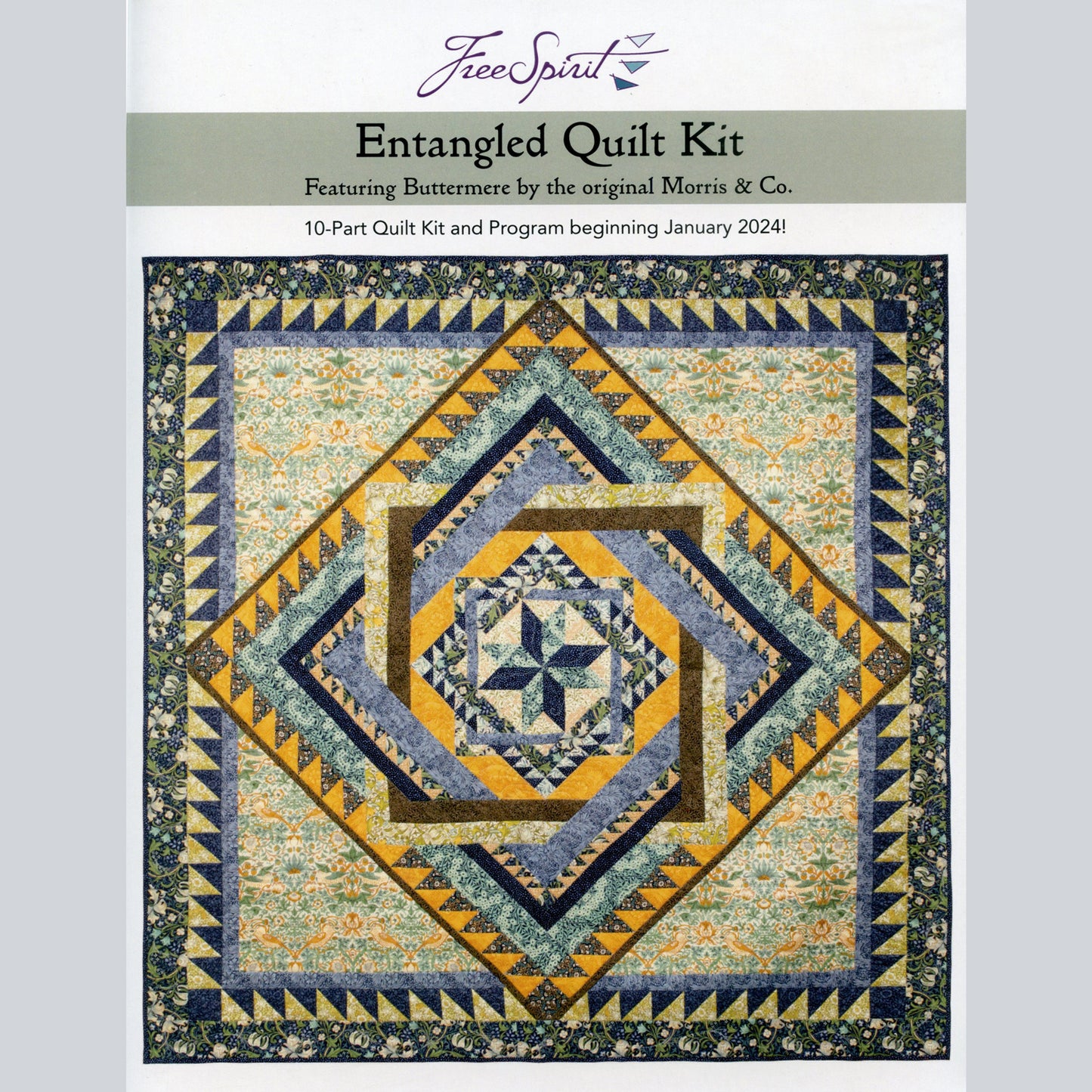 Entangled Round-About Quilt Kit Alternative View #2