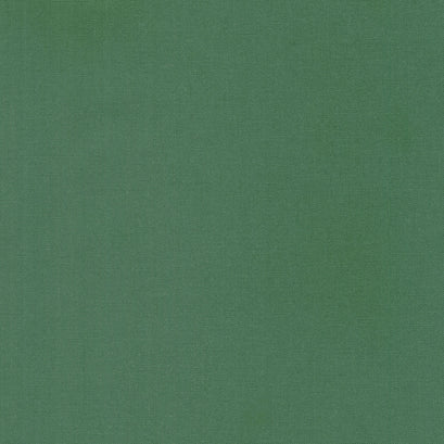 Bella Solids - Topiary Yardage
