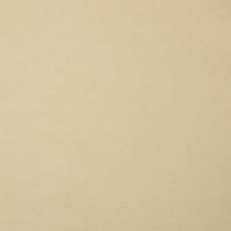 Canvas/Duck Cloth - Cream Yardage