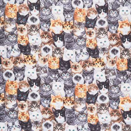 Long Cat Pattern Cat Pattern