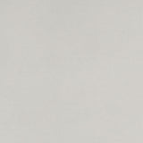 Cuddle Extra Wide - Cuddle Extra Wide Platinum Yardage Primary Image
