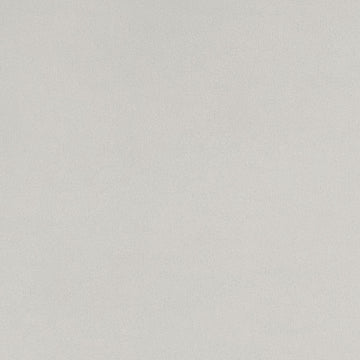 Cuddle Extra Wide - Cuddle Extra Wide Platinum Yardage Primary Image