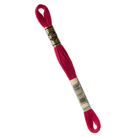 DMC Embroidery Floss - 3831 Dark Raspberry Primary Image