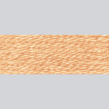 DMC Embroidery Floss - 437 Light Tan Alternative View #1