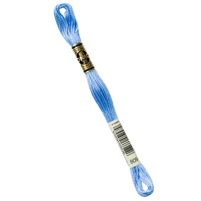 DMC Embroidery Floss - 809 Delft Blue Primary Image