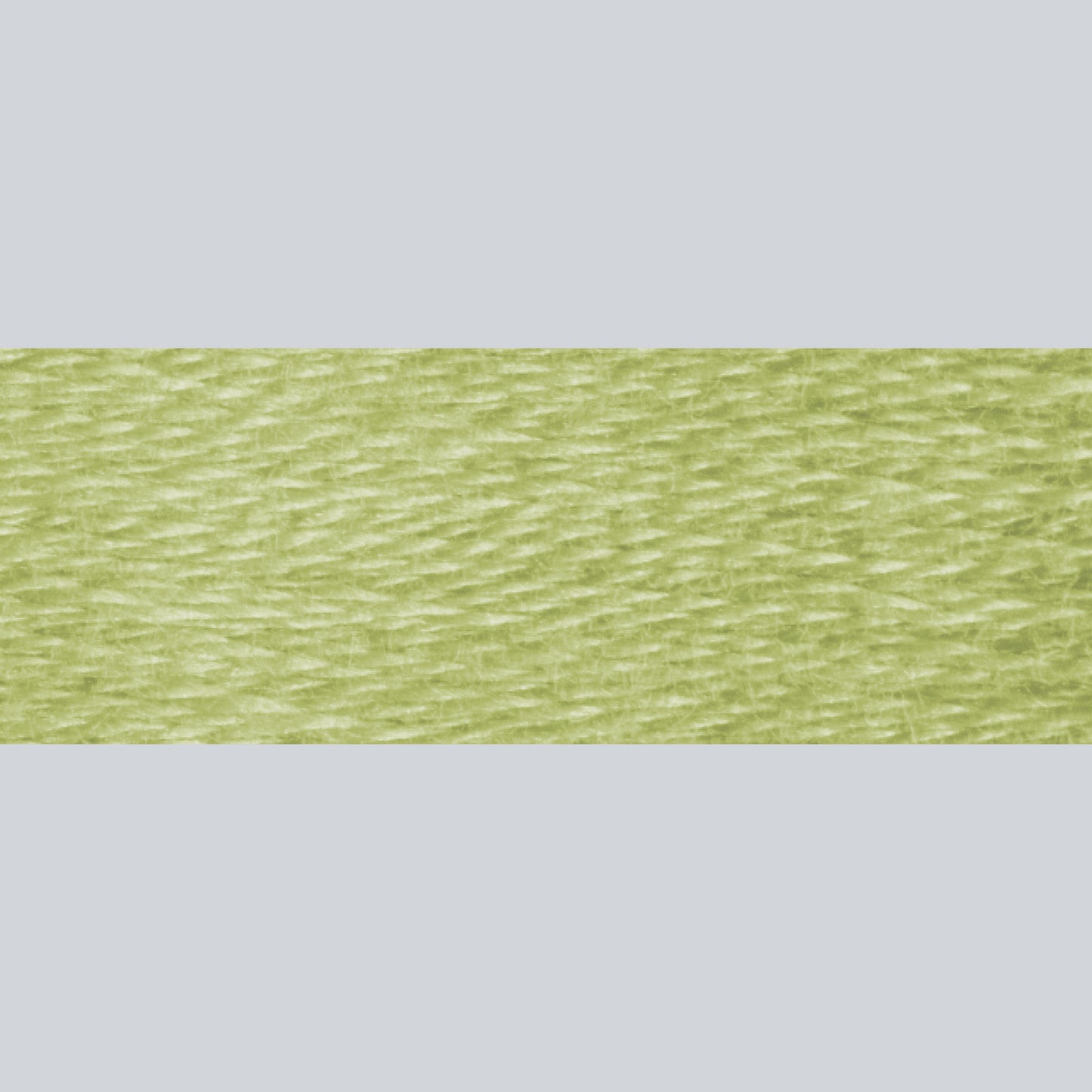 DMC Embroidery Floss - 3013 Light Khaki Green Alternative View #1