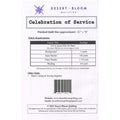 Celebration of Service Kit Alternative View #3