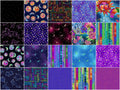 Celestial Magic Fat Quarter Bundle