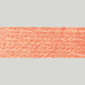DMC Embroidery Floss - 3824 Light Apricot Alternative View #1