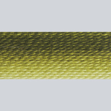 DMC Embroidery Floss - 94 Variegated Khaki Green Alternative View #1