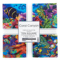 Coral Canyon Digitally Printed Ten Squares