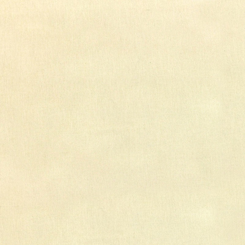 Cotton Supreme Solids - Canvas Yardage Primary Image